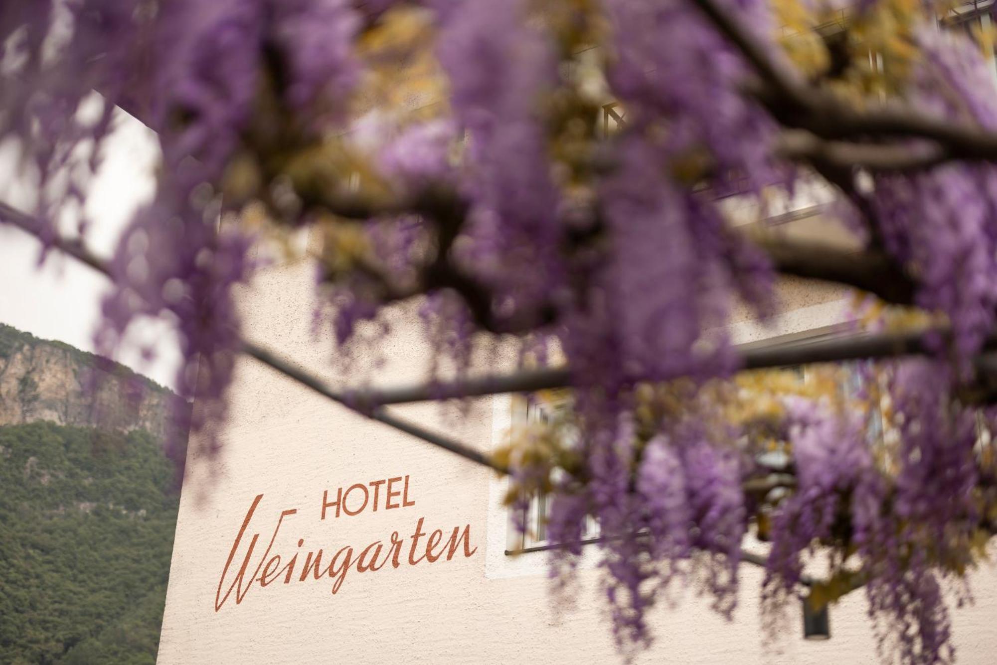 Weingarten Terlan - Rooms & Breakfast エクステリア 写真