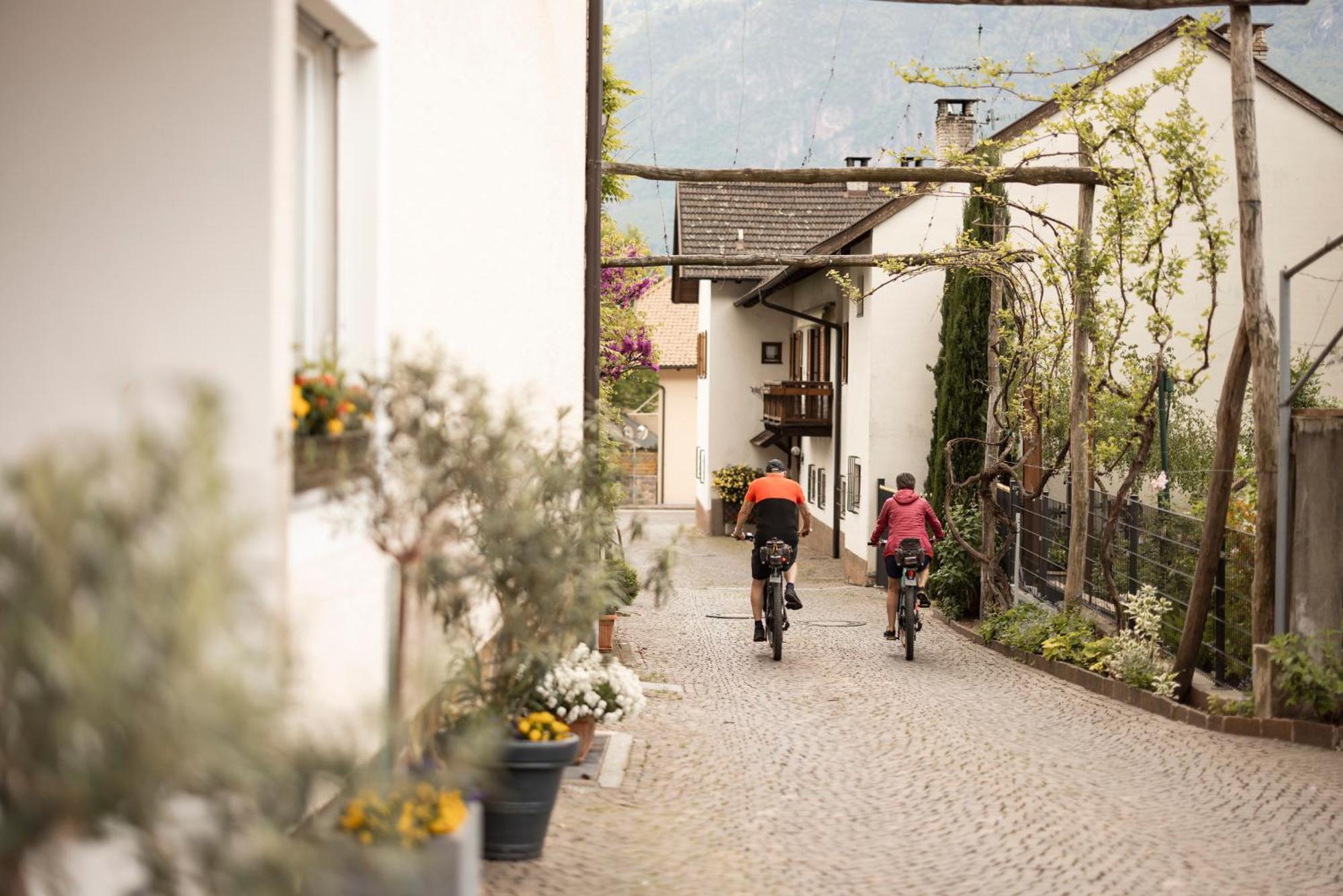 Weingarten Terlan - Rooms & Breakfast エクステリア 写真